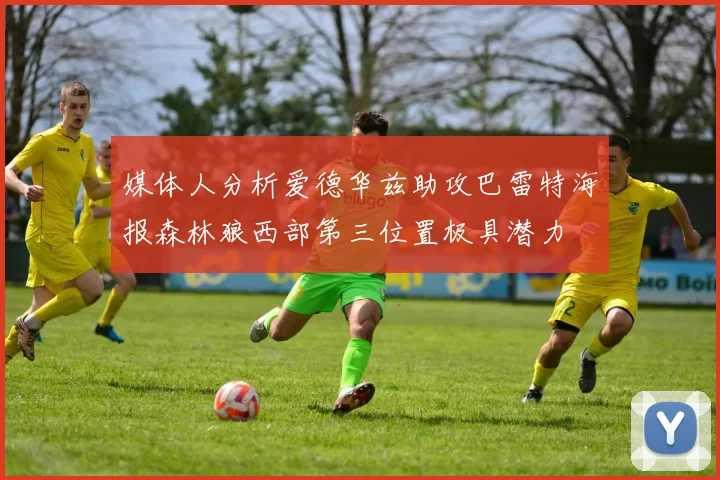 媒体人分析爱德华兹助攻巴雷特海报森林狼西部第三位置极具潜力